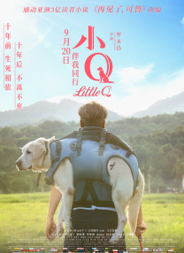 污片在线